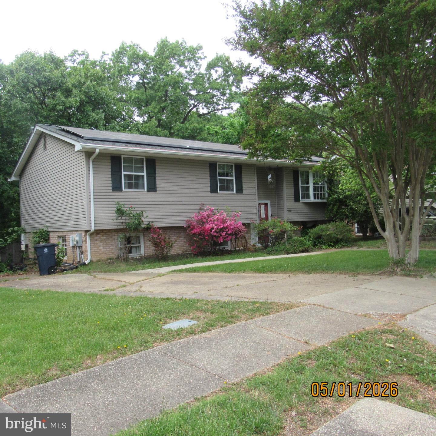 5000 Luci Lane photo 2