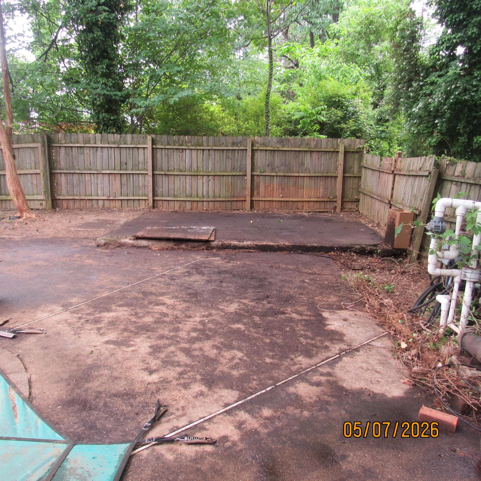 5000 Luci Lane photo 26