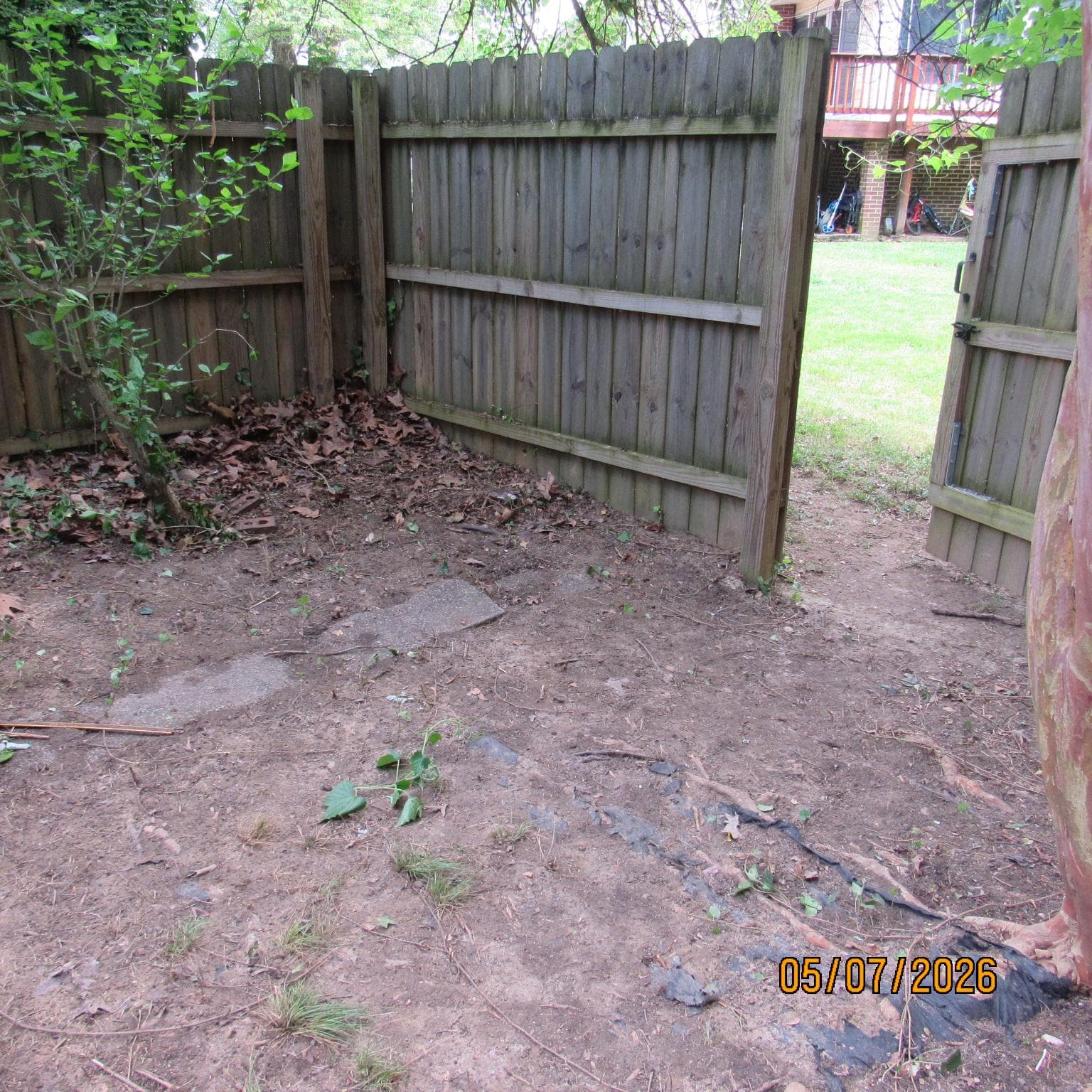 5000 Luci Lane photo 27