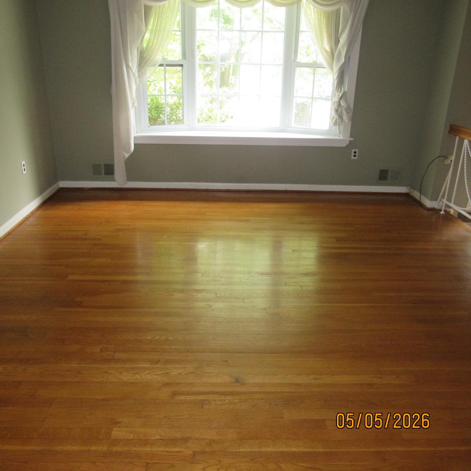 5000 Luci Lane photo 3