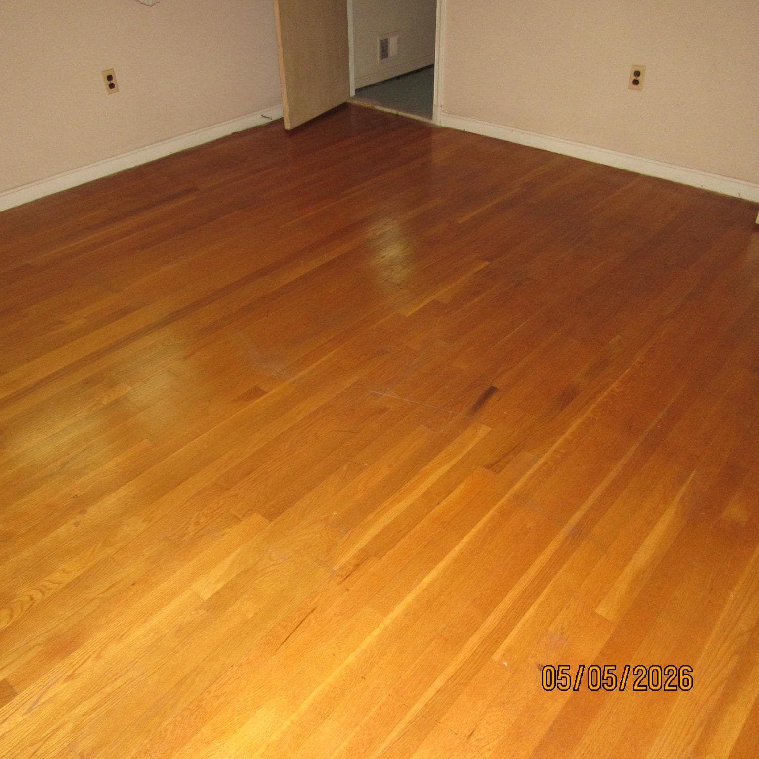 5000 Luci Lane photo 7