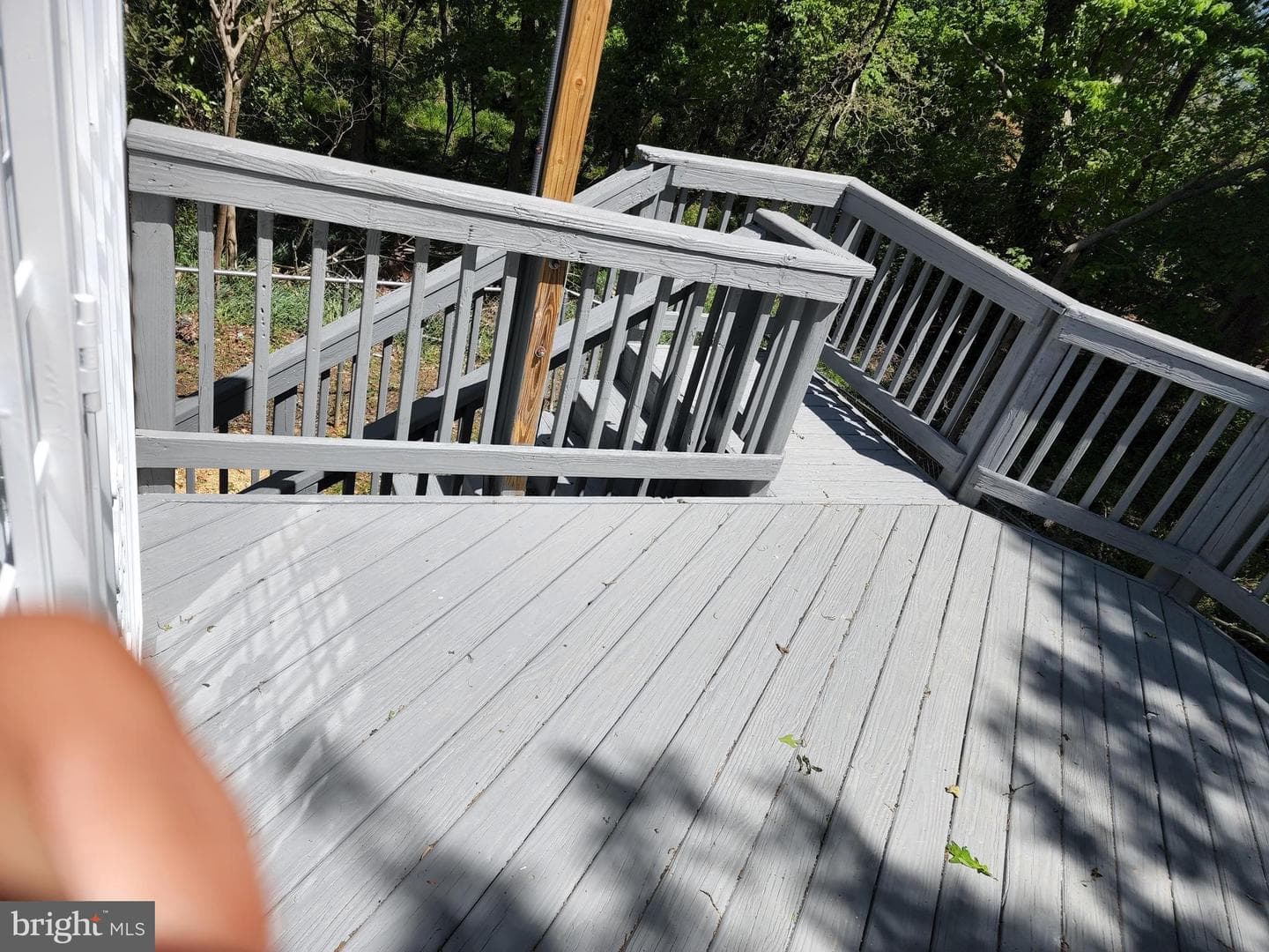 2904 White Pine Court photo 43