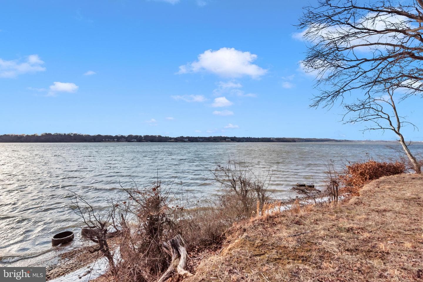 11501 Riverview Road photo 83