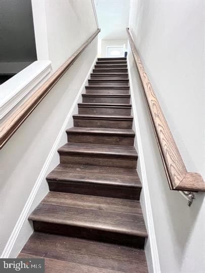 2105 Ruatan Street photo 14