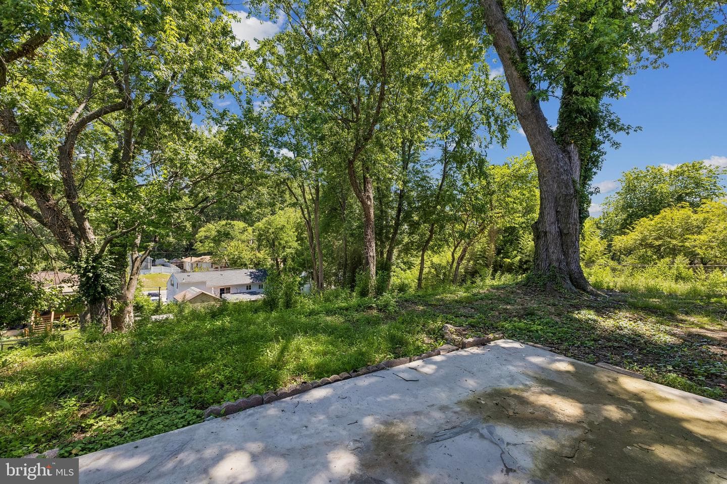 308 Aragona Drive photo 23