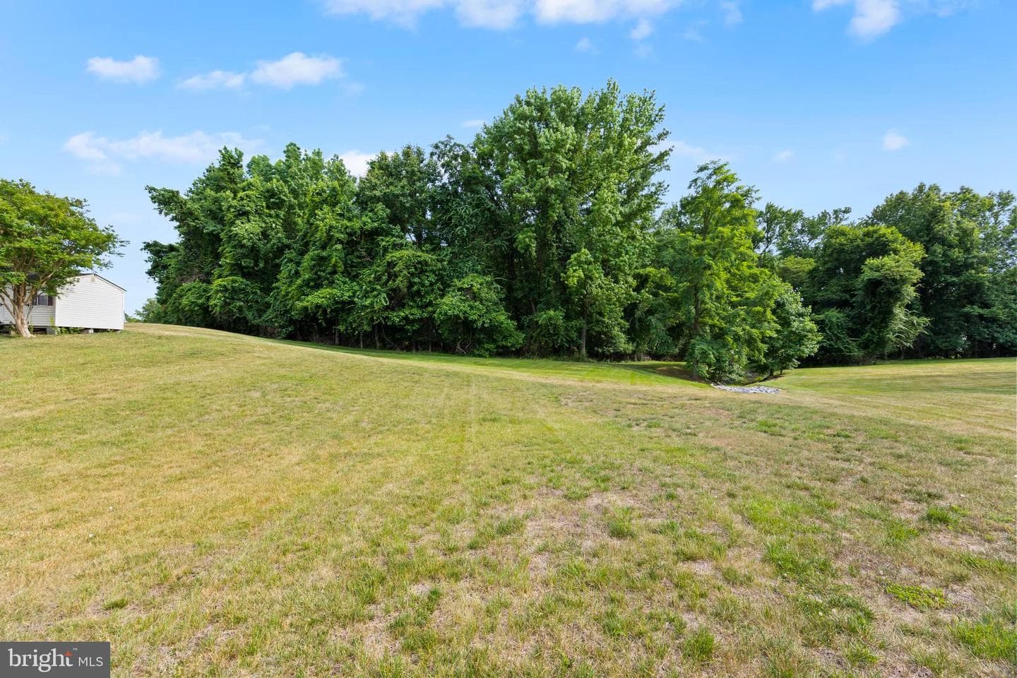 10303 Brightfield Lane photo 37
