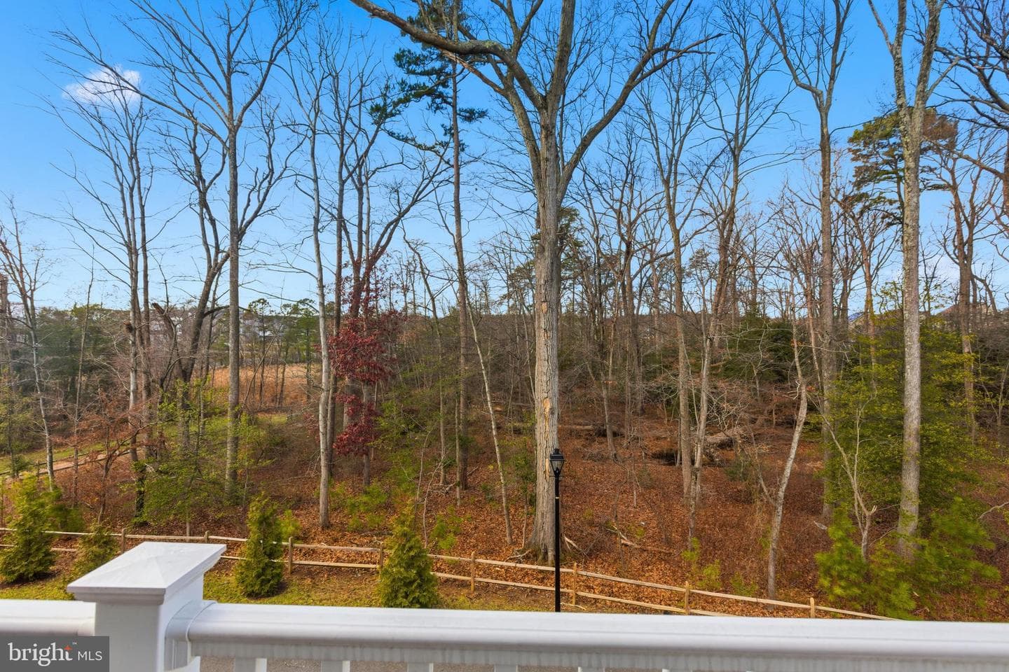 10414 John Glenn Street photo 15