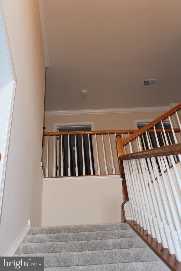 4615 Mary Beth Boulevard photo 17