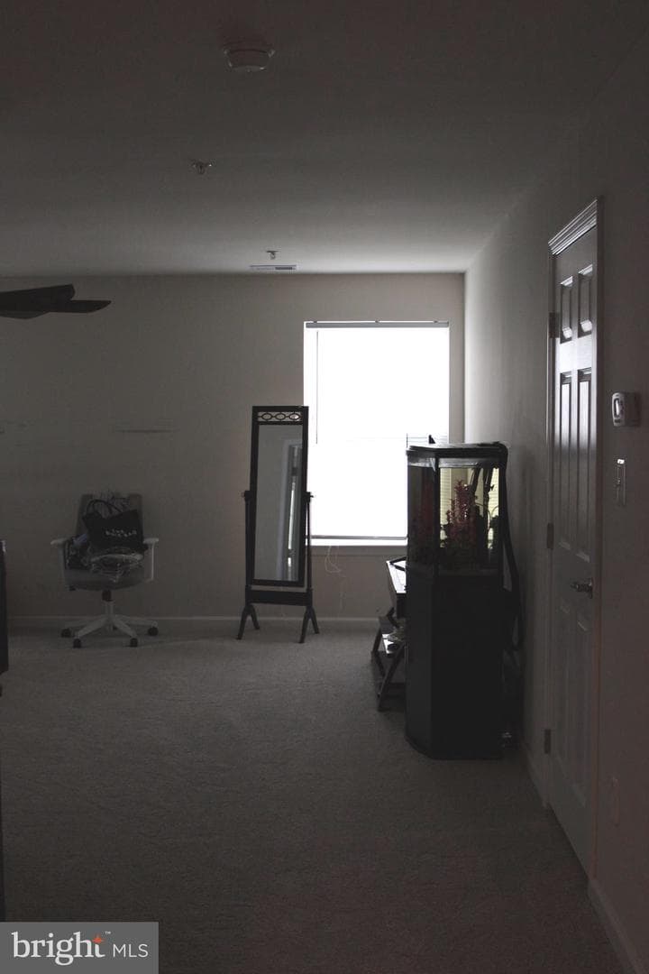 4615 Mary Beth Boulevard photo 51