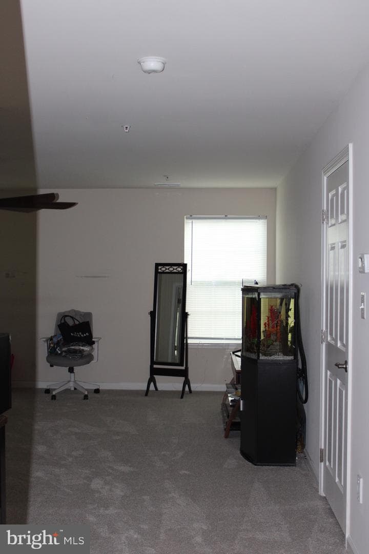 4615 Mary Beth Boulevard photo 52