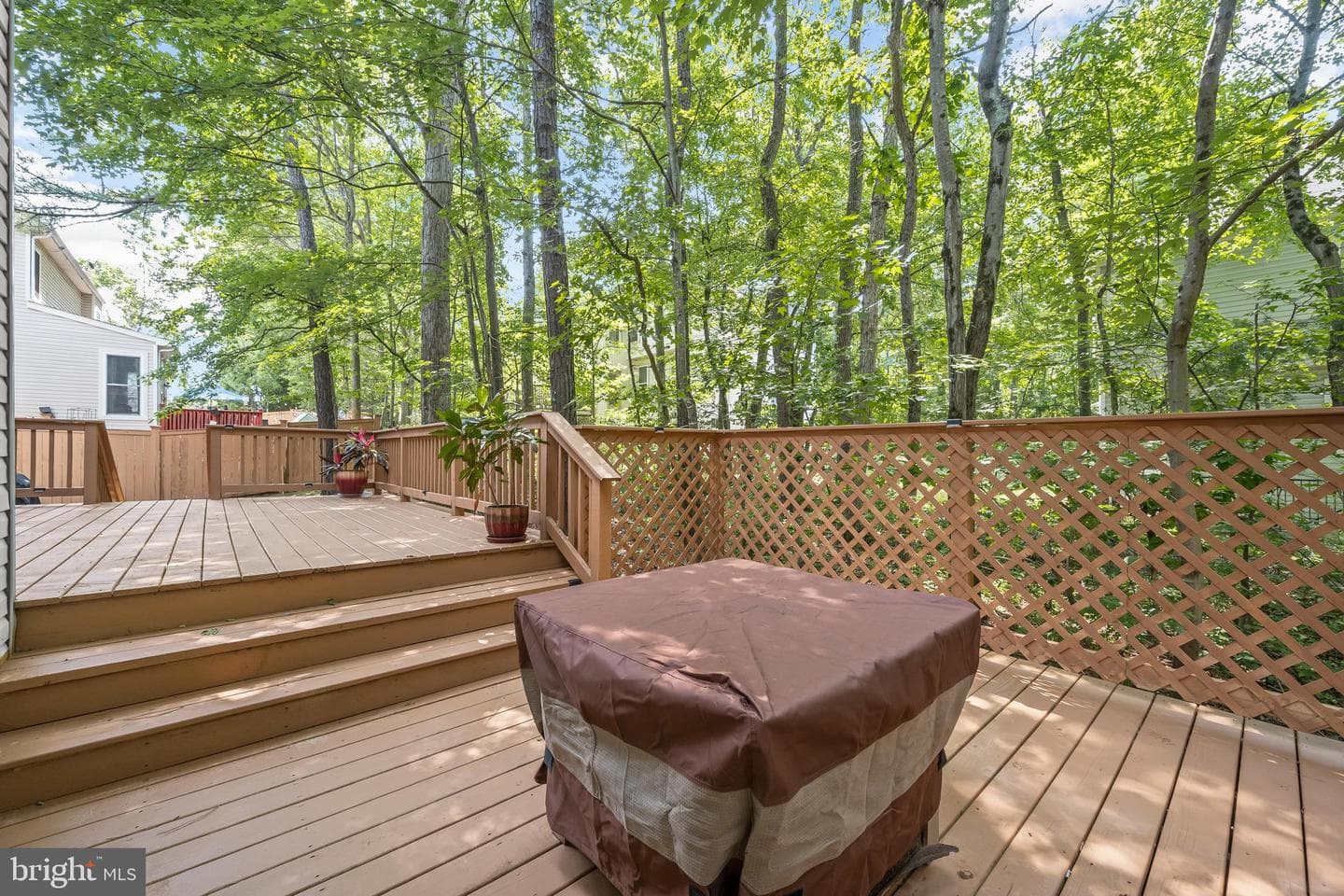 12007 Quarum Place photo 42