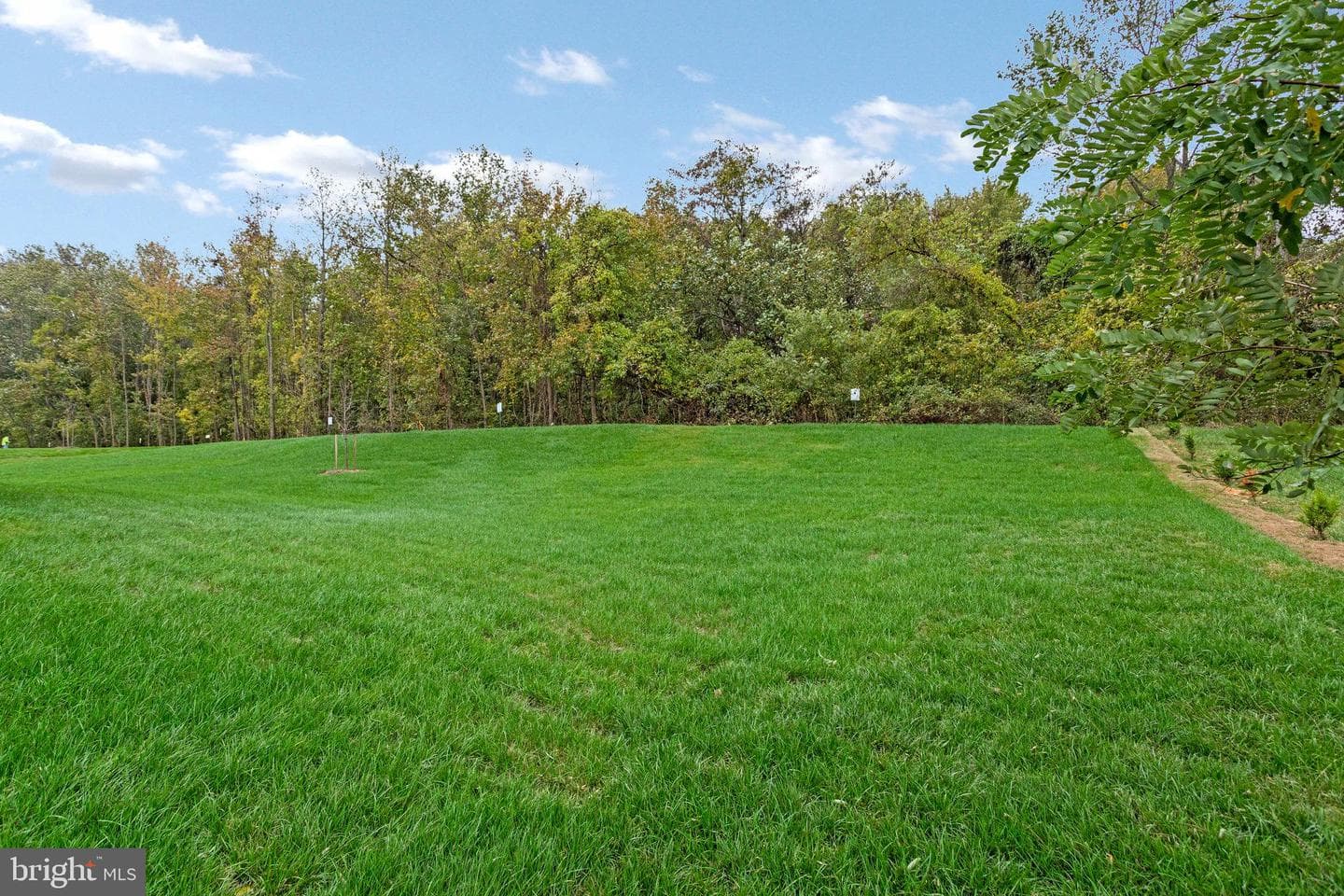 2024 Saint James Road photo 54