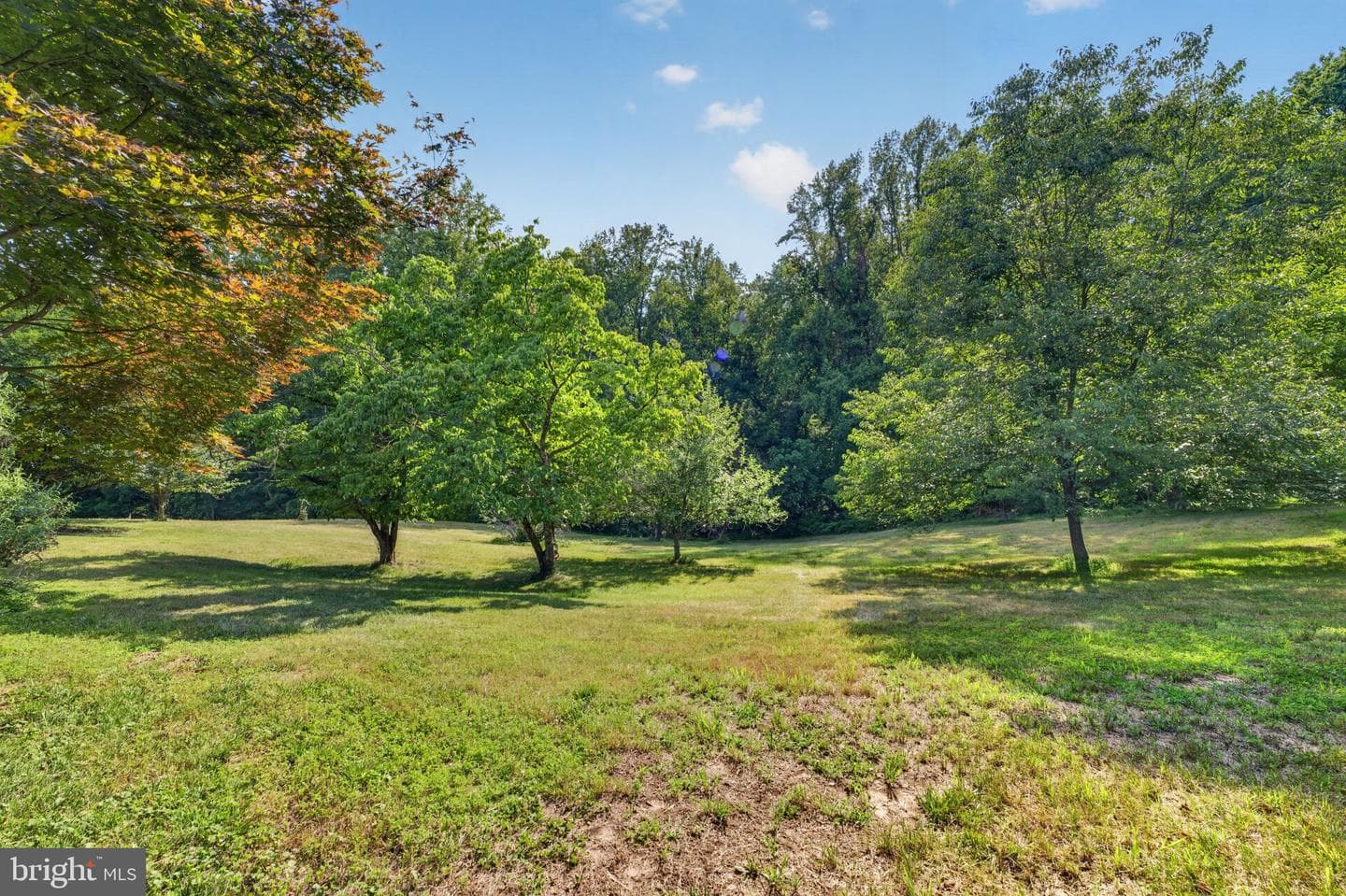 7201 Sasscer Lane photo 4