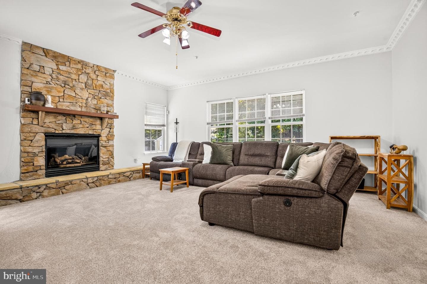 8705 Delphi Drive photo 12