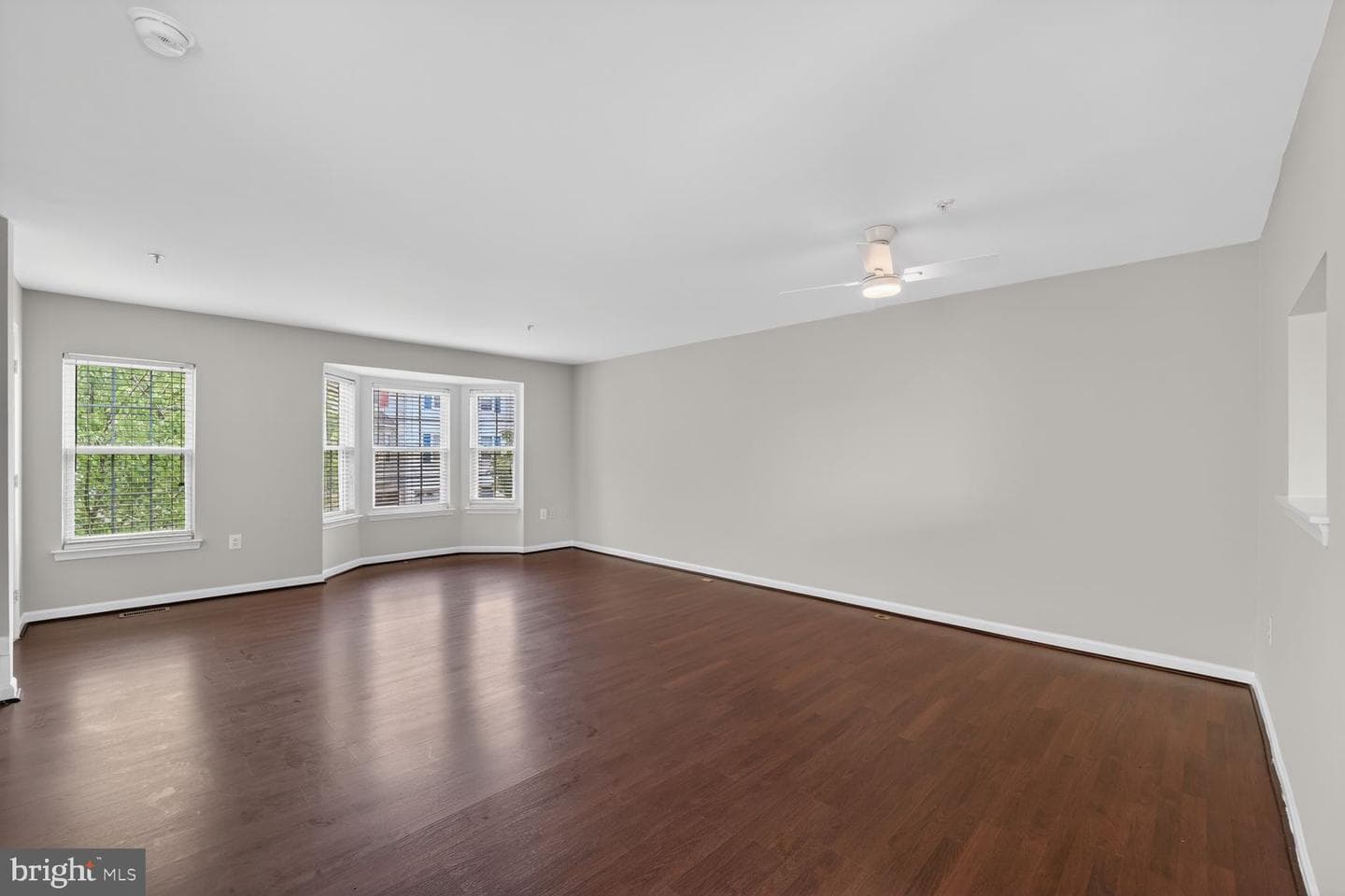 7013 Migliori Court photo 12