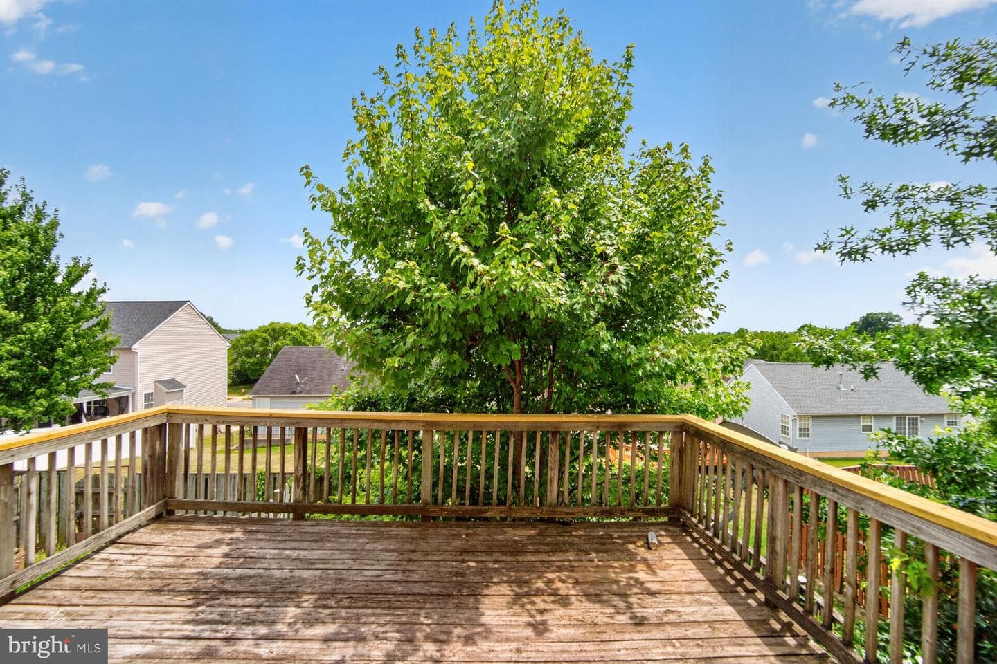 7013 Migliori Court photo 31