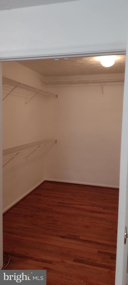 4805 Ashford Place photo 9