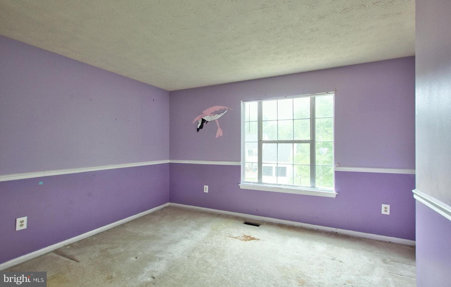10711 Featherstone Drive photo 18