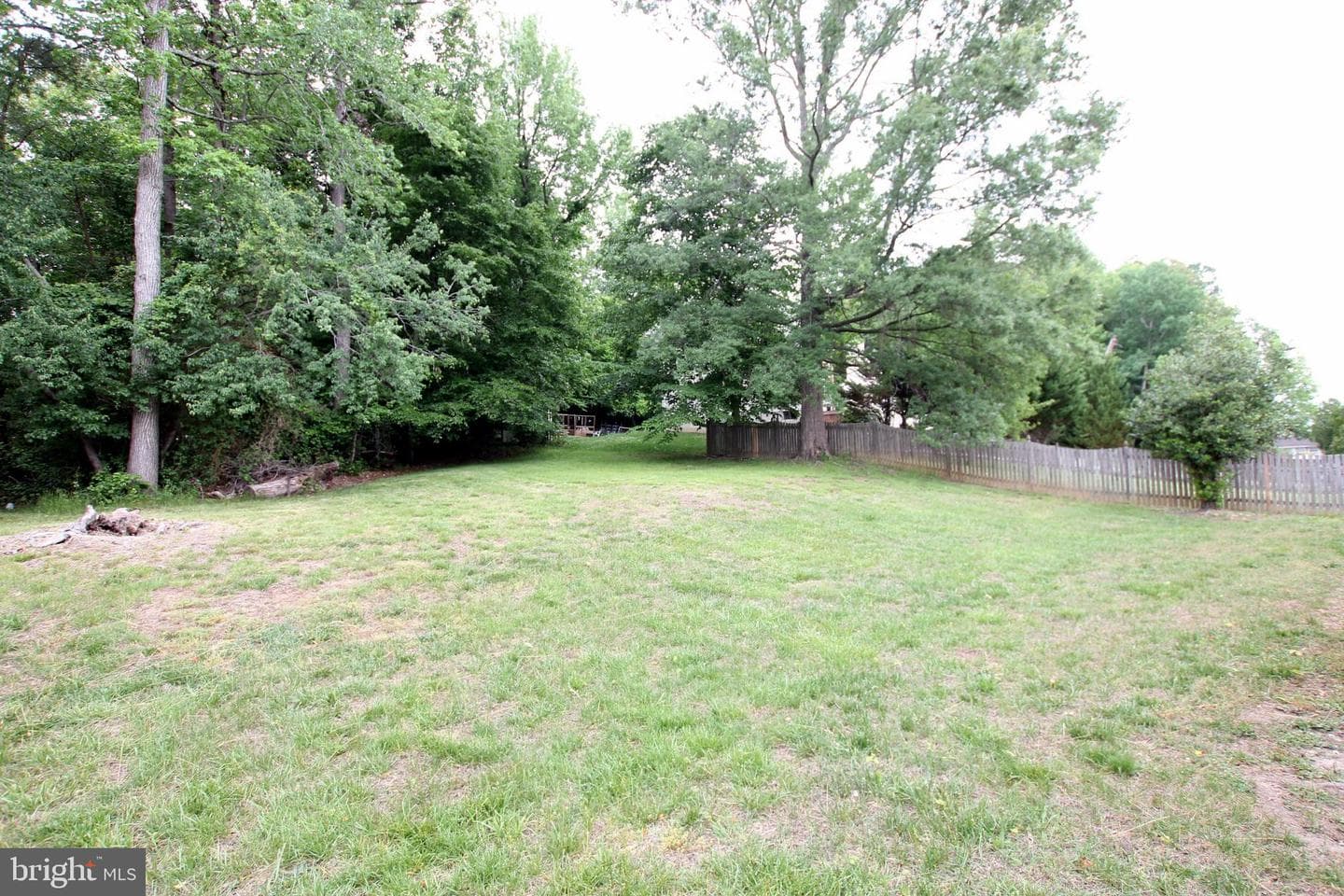 10711 Featherstone Drive photo 39