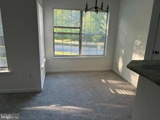 1013 Summerglenn Court #7-203 photo 4