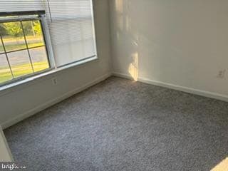 1013 Summerglenn Court #7-203 photo 5