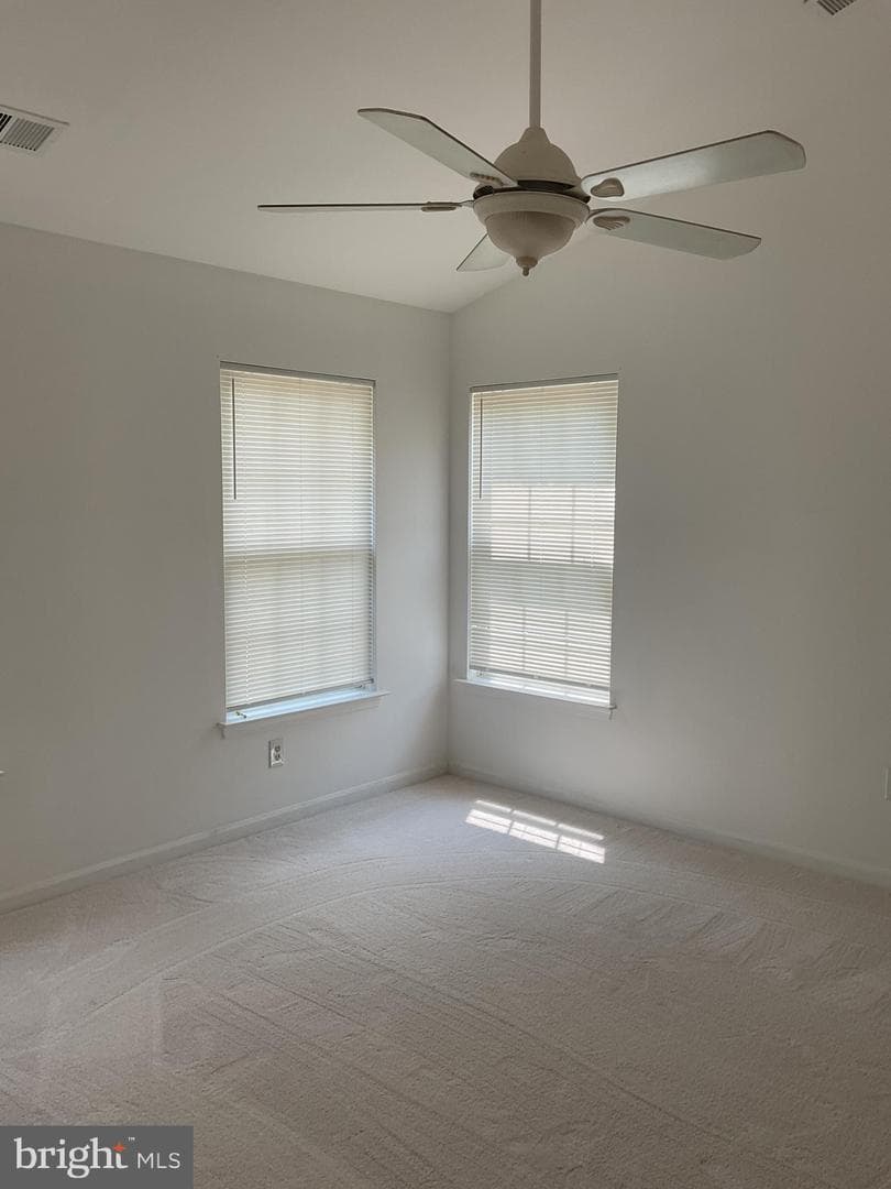 1701 Chinaberry Court photo 22