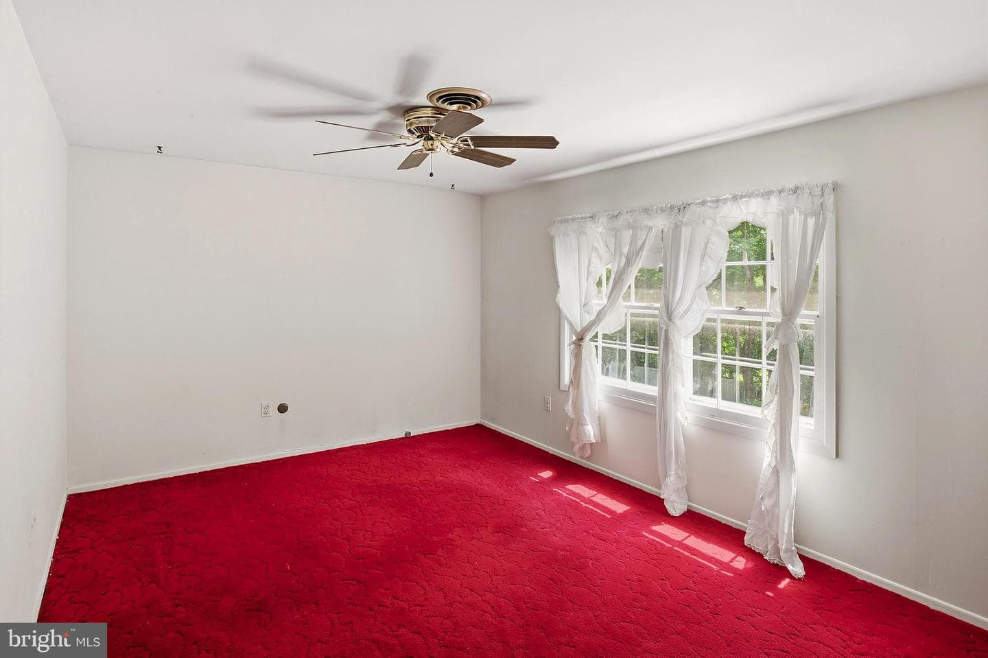 12101 Lerner Place photo 27