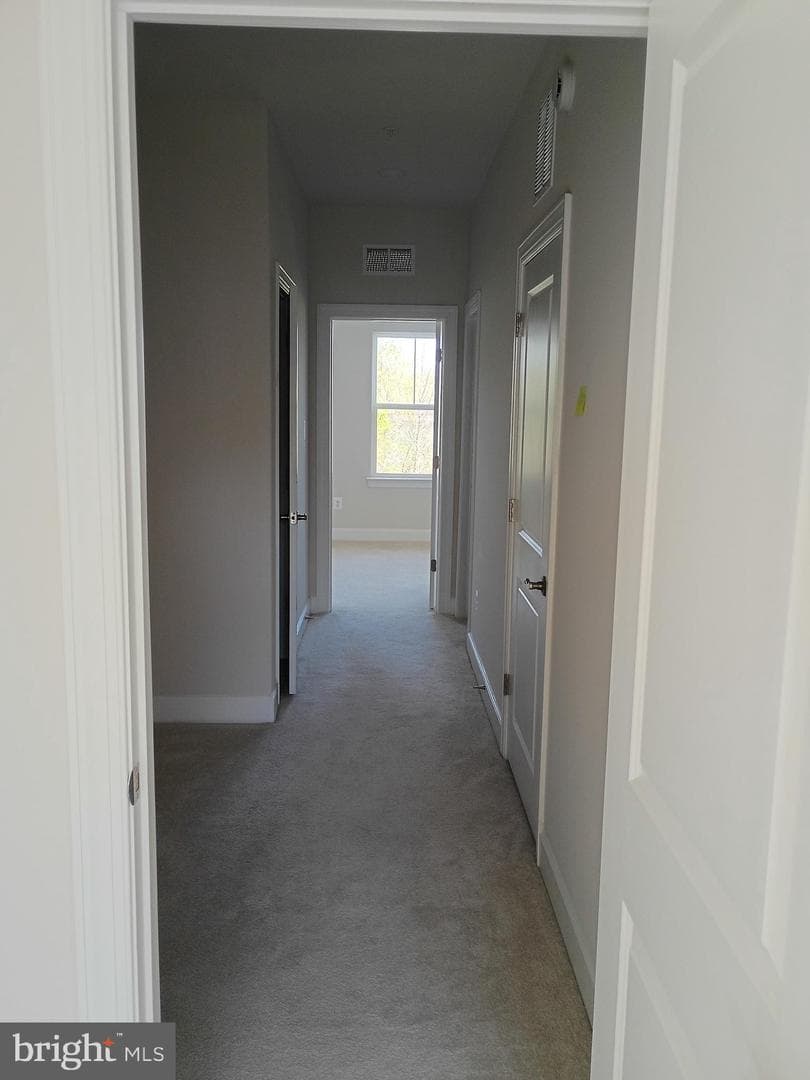 3525 Carnaby Street photo 20