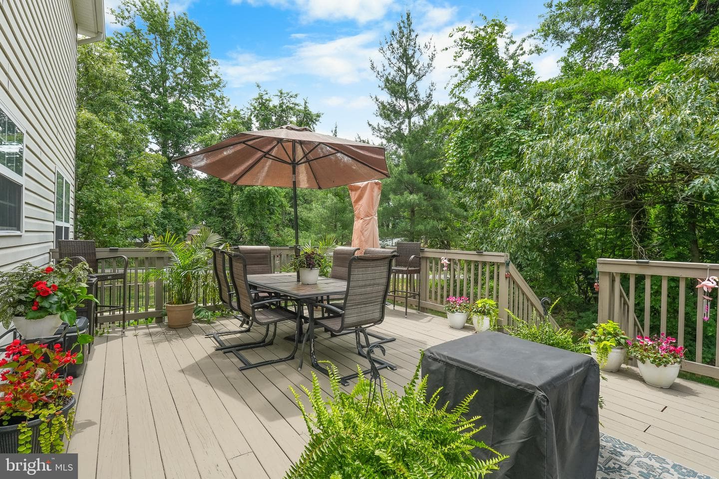 8705 Francesca Drive photo 42