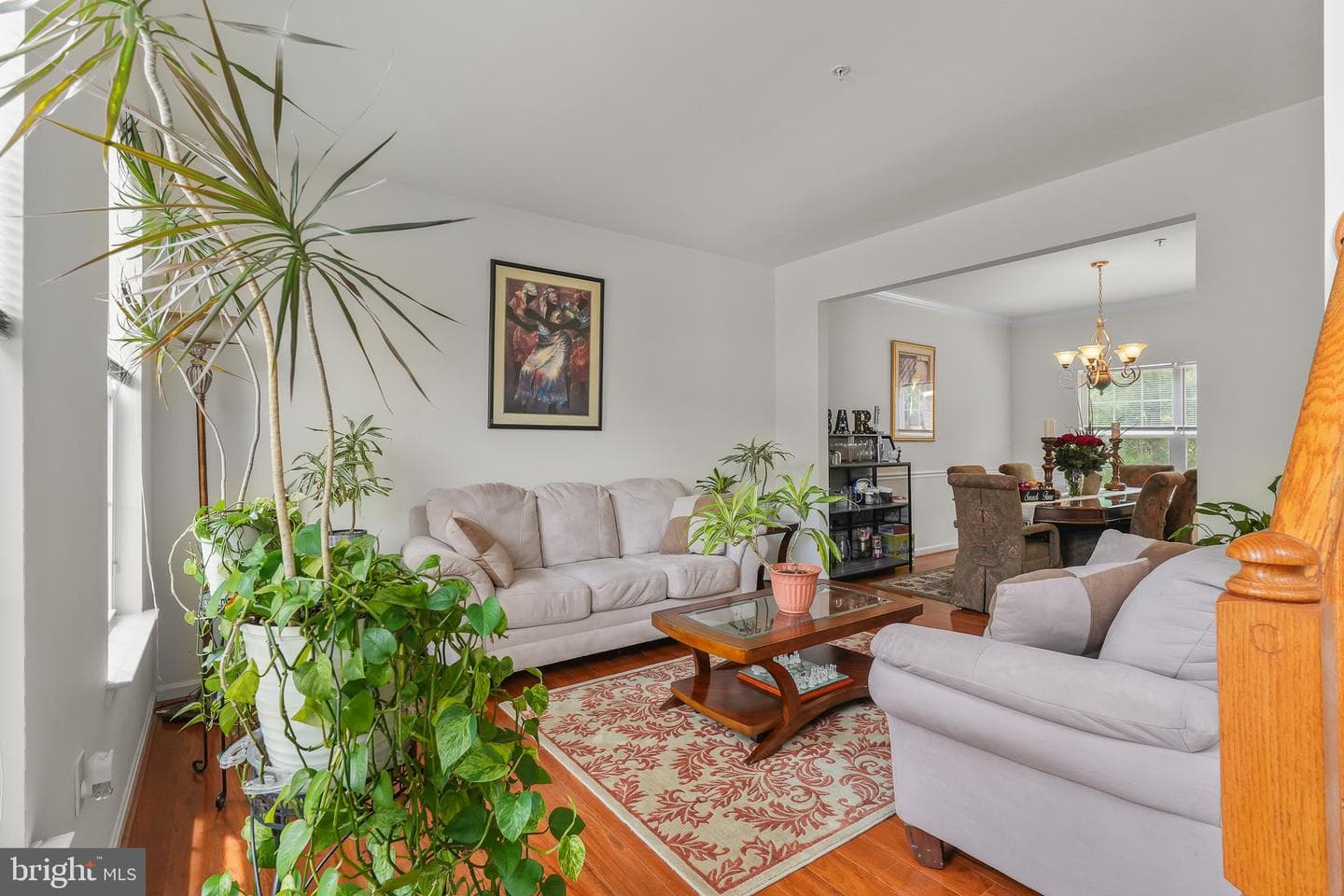 8705 Francesca Drive photo 6