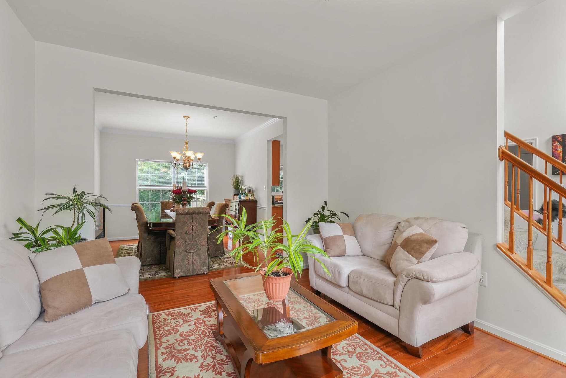8705 Francesca Drive photo 8