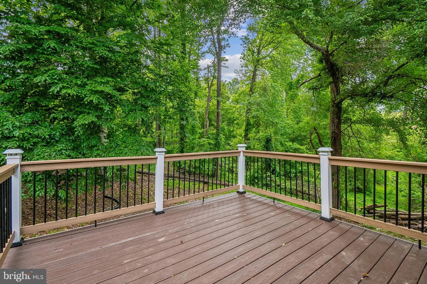 12301 Gallahan Road photo 15