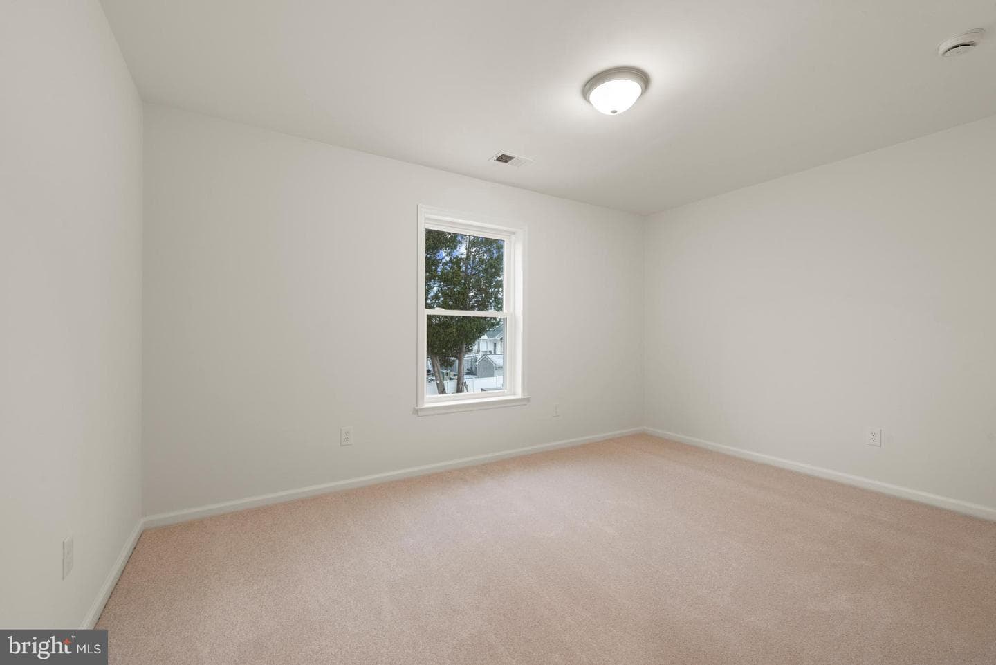 Elm Avenue photo 25
