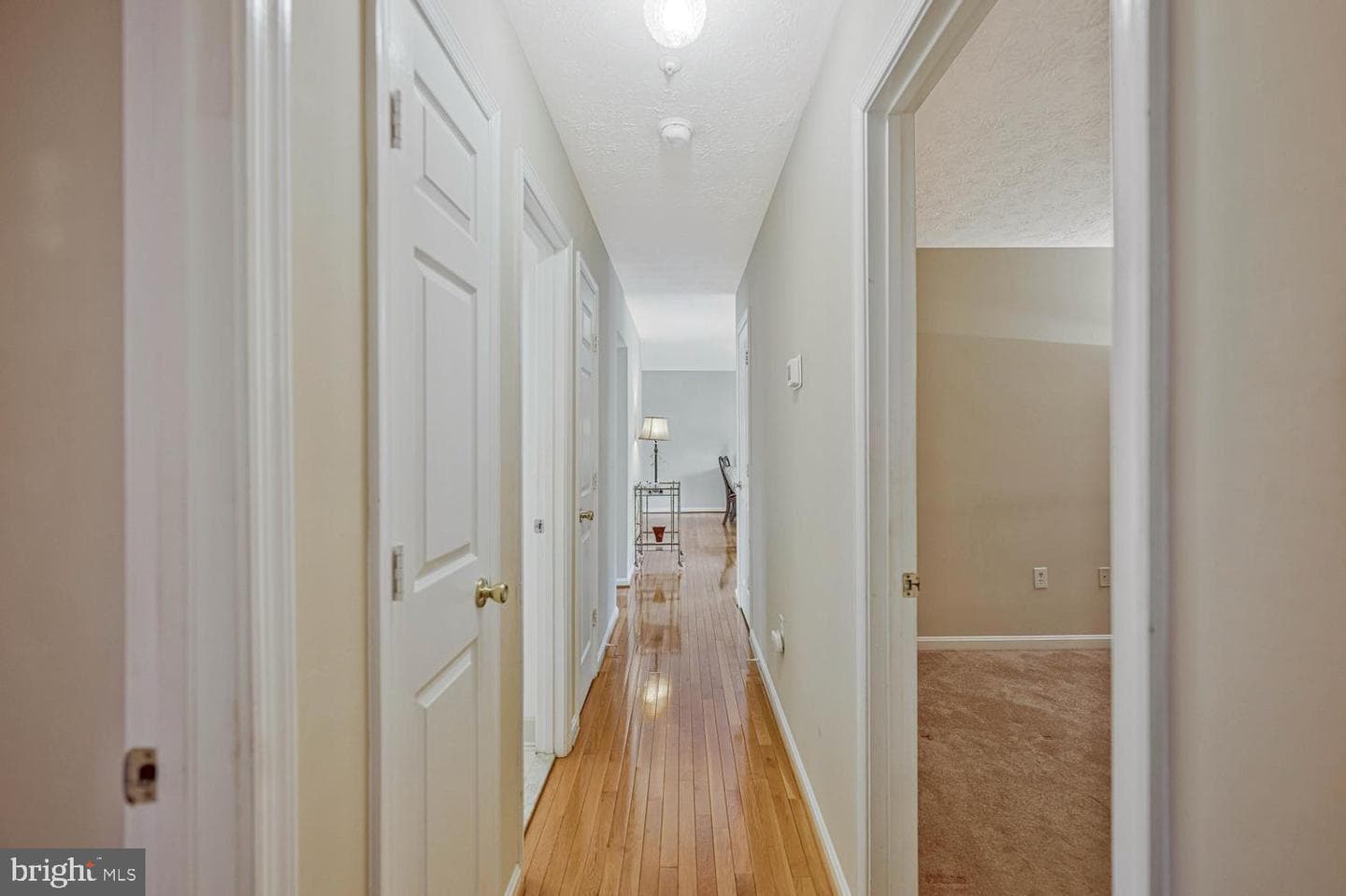 11823 Sylvia Drive photo 30