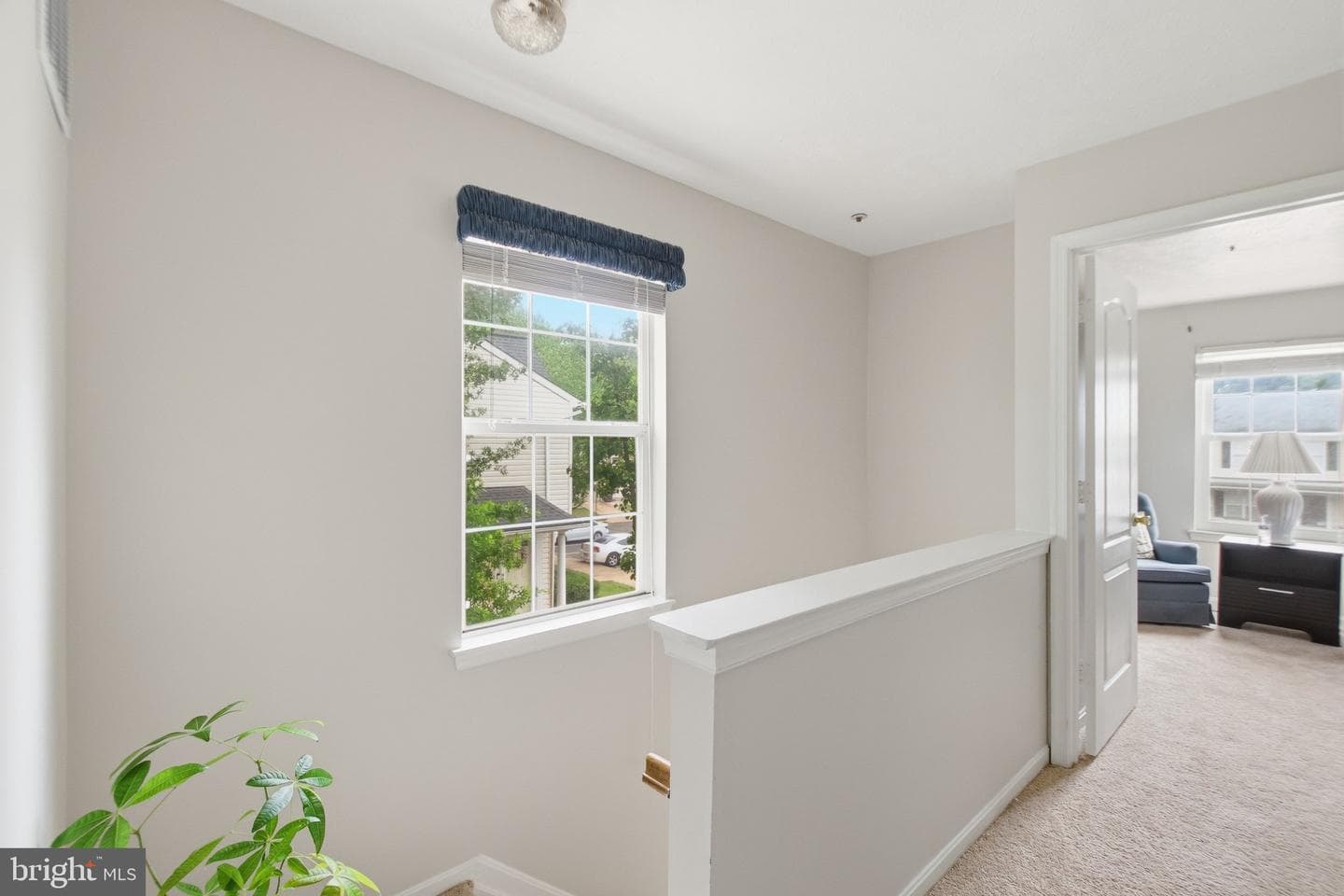 3210 Forest Run Drive photo 15