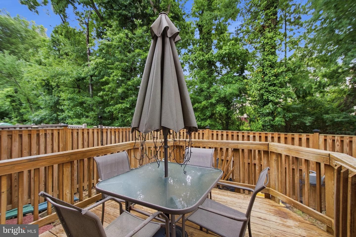 3210 Forest Run Drive photo 27