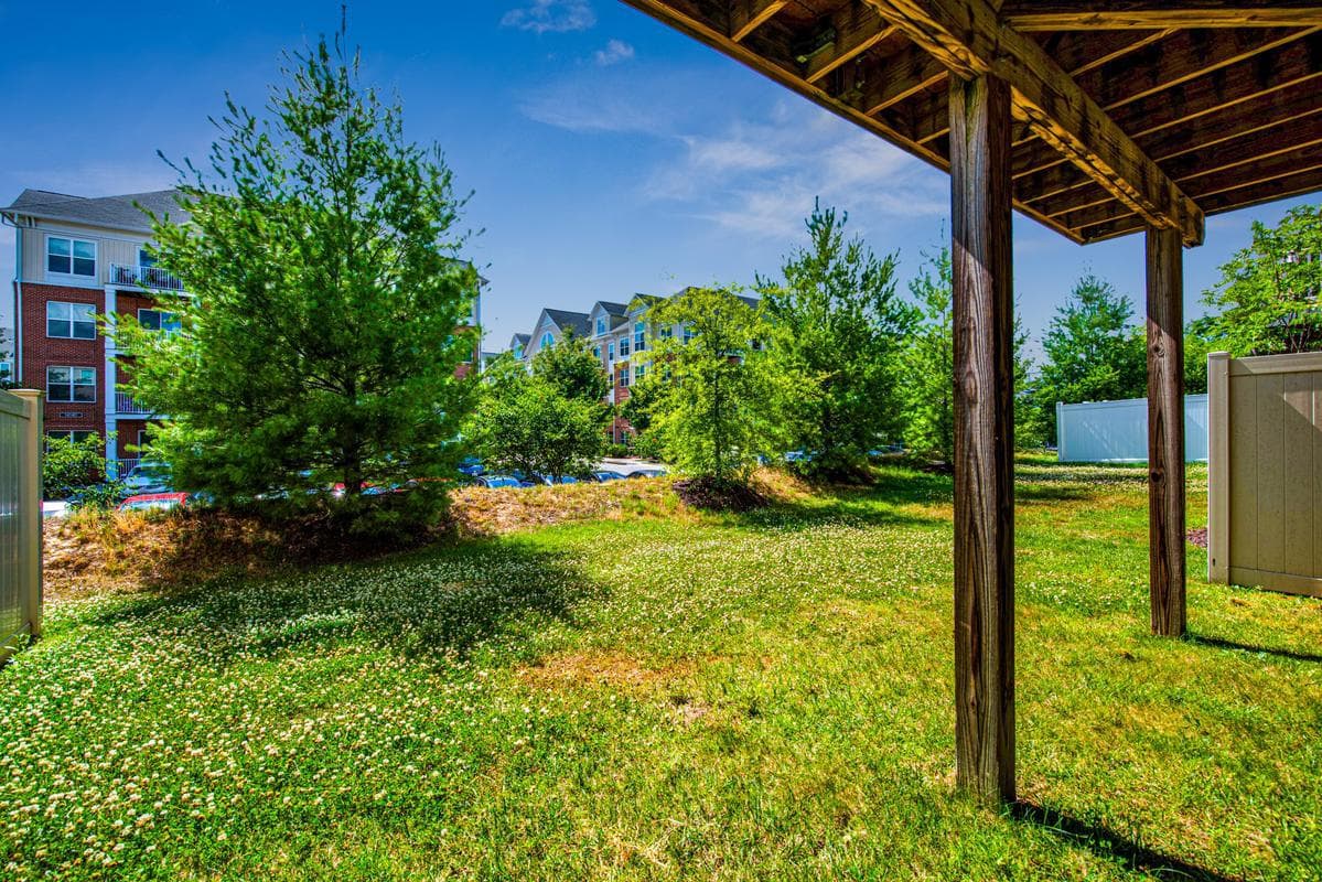 14413 Sandy Ridge Lane photo 41
