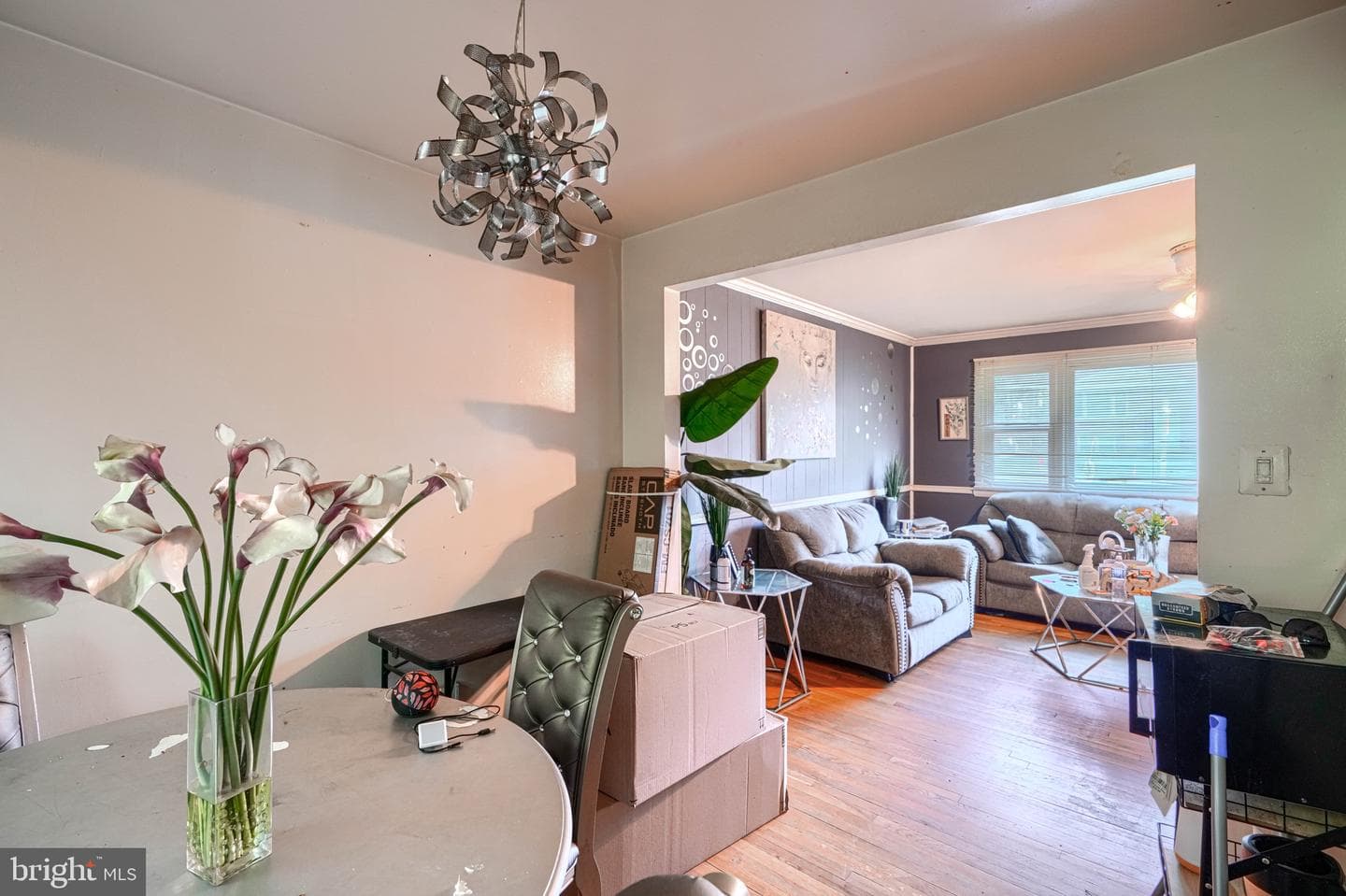 1810 Hollydale Road photo 3