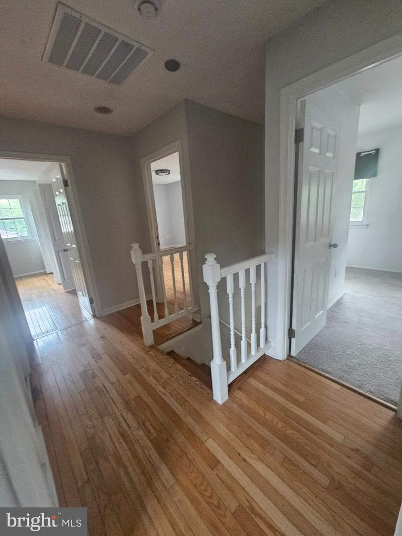 604 Bonnie Meadow Lane photo 17