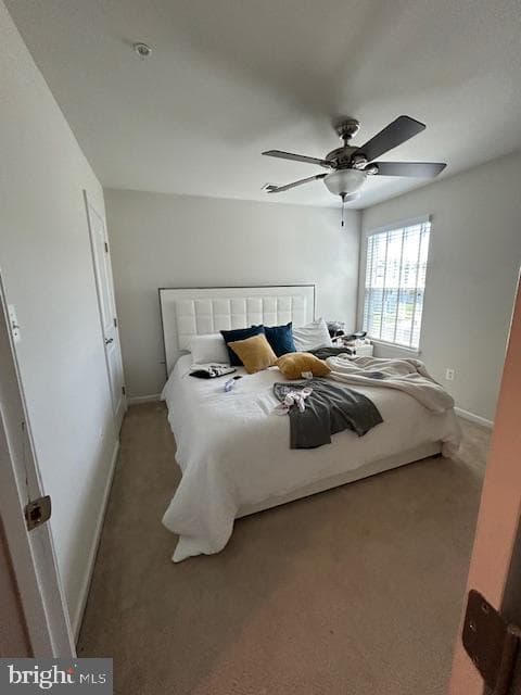 9507 Piaffe Circle photo 13