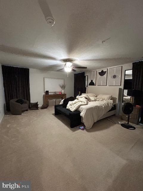 9507 Piaffe Circle photo 16