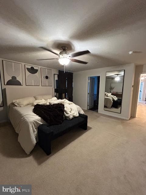 9507 Piaffe Circle photo 17