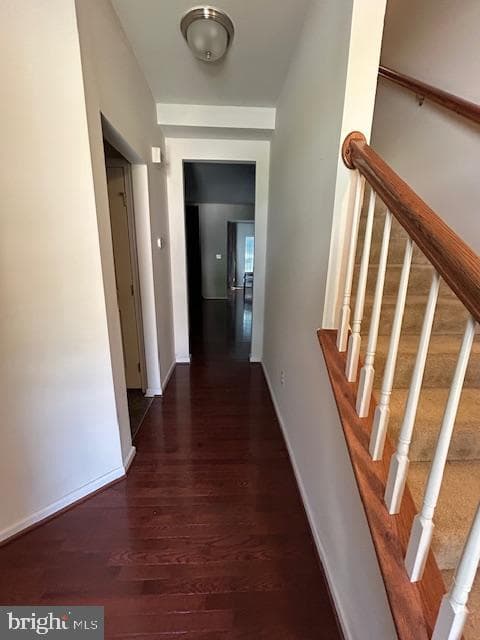 9507 Piaffe Circle photo 4