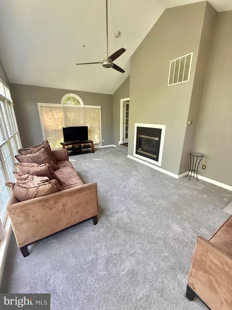 11912 Shadystone Terrace photo 10