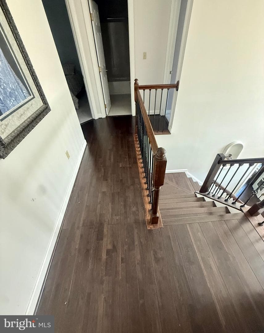 11912 Shadystone Terrace photo 17