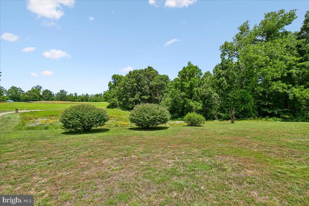 13245 Croom Road photo 8