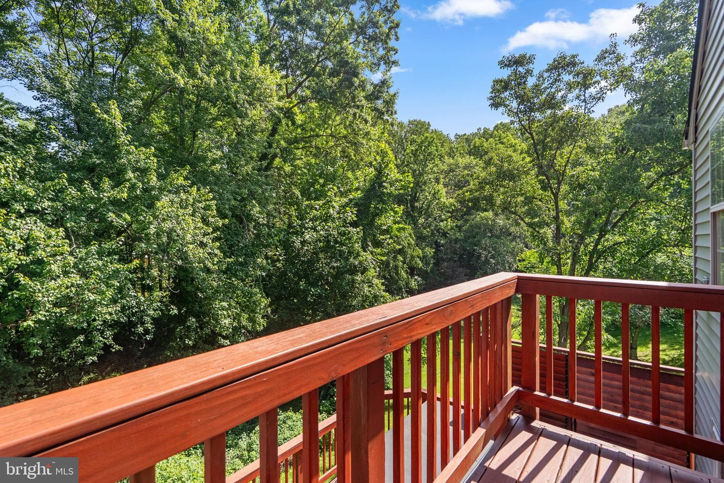 13002 Pine Court photo 37