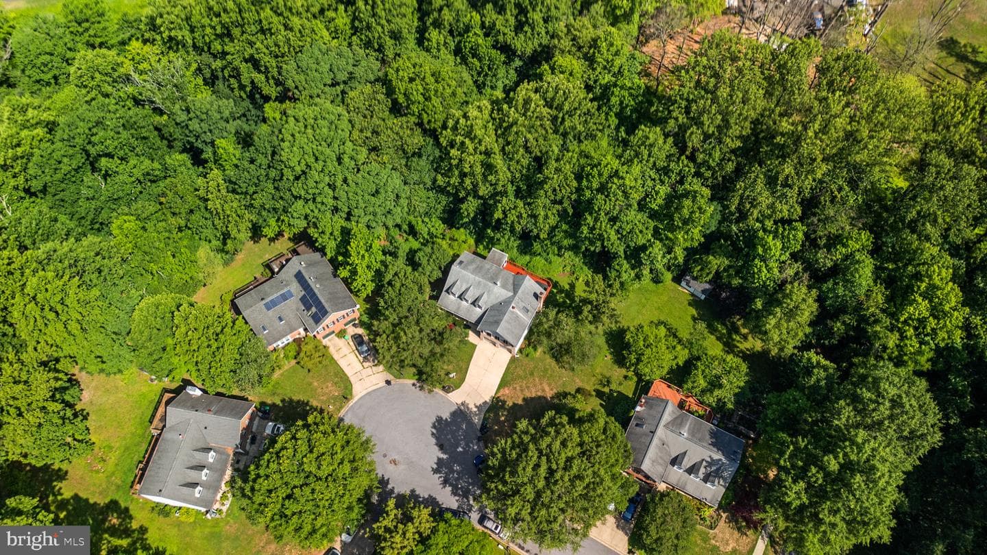 13002 Pine Court photo 44