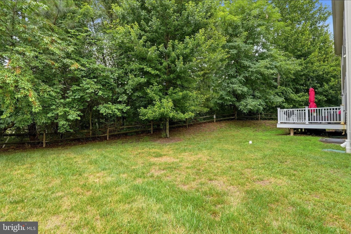9503 Barton Oaks Court photo 64