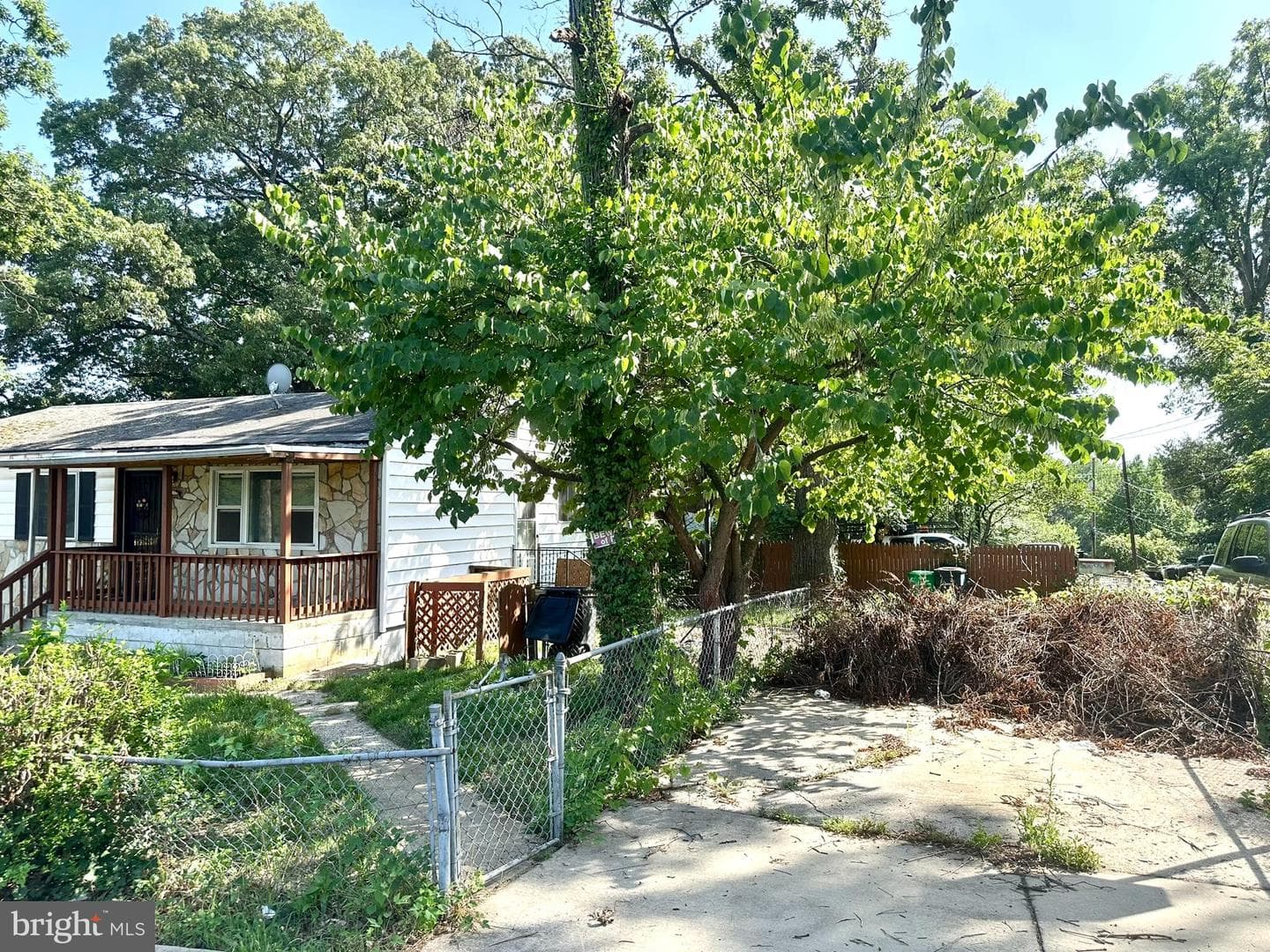 1600 Pacific Avenue photo 4